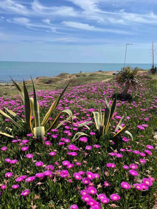 Ferienwohnung Miramar V Torrevieja Luaran gambar